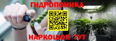 ECSTASY Конаково
