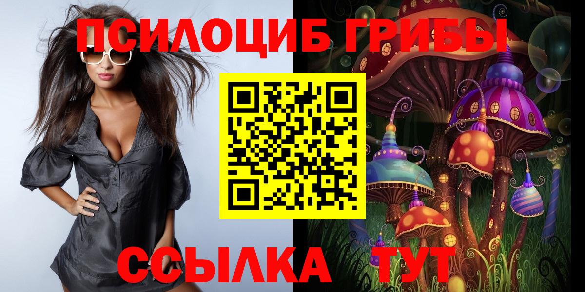 Касимов  Галлюциногенные грибы Psilocybine cubensis  Вход с VPN 