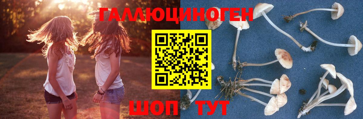 Псилоцибиновые грибы мухоморы Касимов